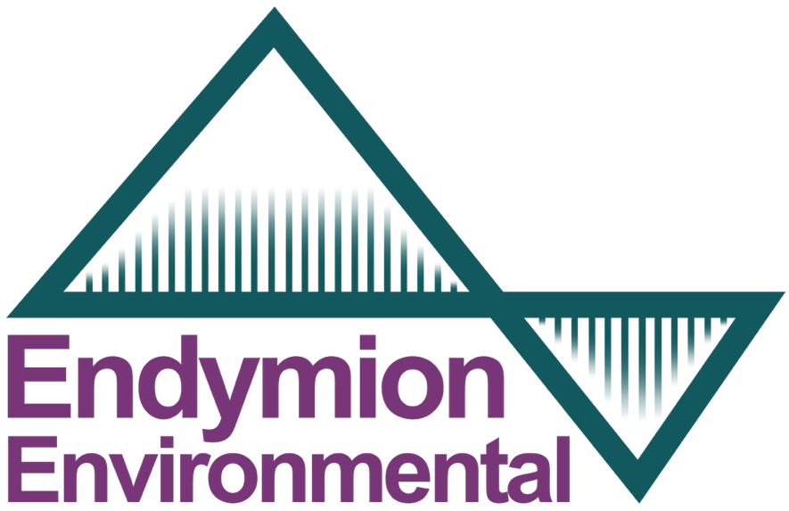 Endymion Environmental