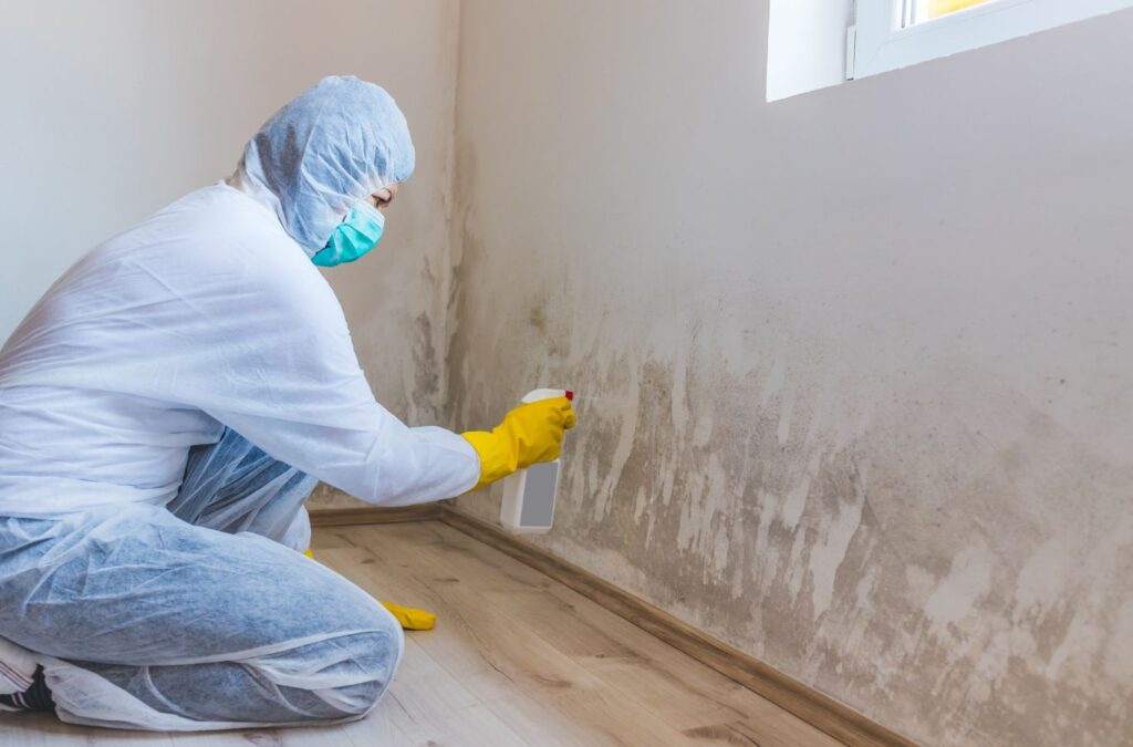 An experienced Endymion Environmental technician at work in Malibu, demonstrating the use of state-of-the-art technology for mold assessment and mitigation, Mold Inspection Near Me.