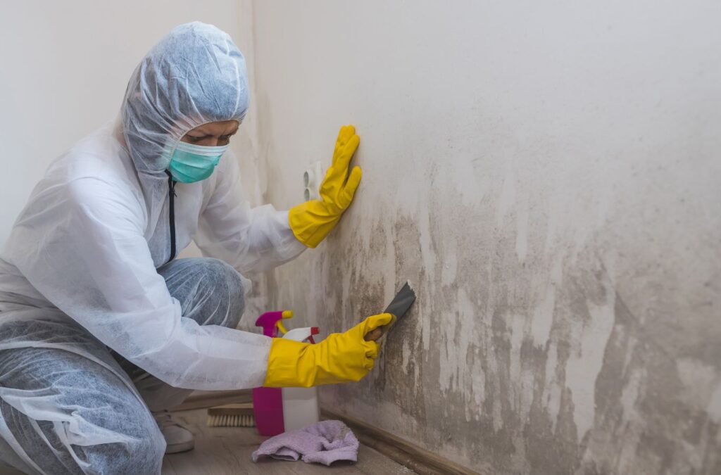 An Endymion Environmental professional explaining the benefits of mold testing to a Beverly Hills, CA homeowner.