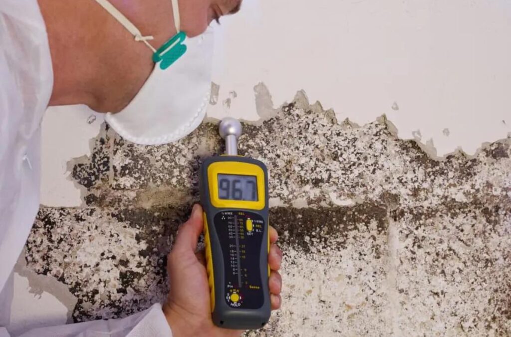 A mold testing expert from Endymion Environmental performing a thorough inspection in Pacific Palisades, CA, mold testing near me.